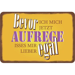 Schild Spruch "Bevor ich mich jetzt aufrege isses mir egal" 20 x 30 cm Blechschild