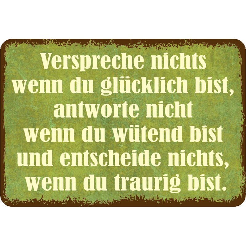 Schild Spruch &ldquo;Verspreche nichts wenn du glücklich bist&rdquo; 20 x 30 cm B