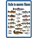 Schild Spruch "Fische in unseren Flüssen"...