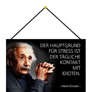 Schild Spruch "Grund Stress tägliche Kontakt Idioten, Einstein" 20 x 30 cm Blechschild mit Kordel