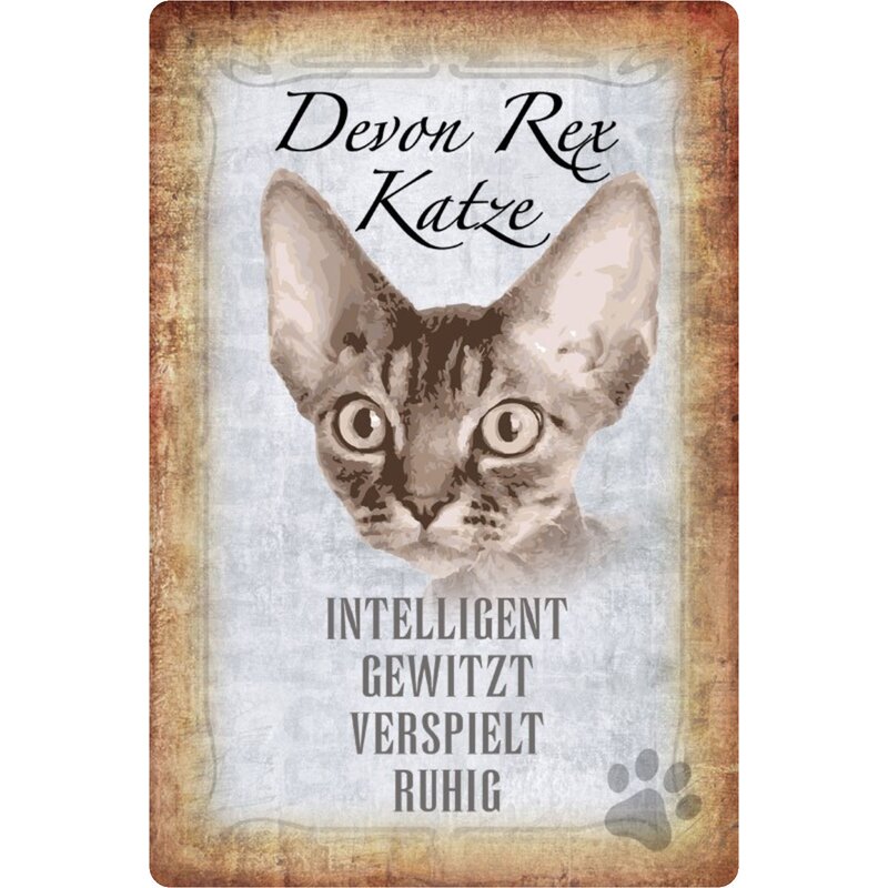 Schild Spruch Devon Rex Katze Ruhig Gewitzt 20 X 30 Cm 7 99