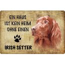 Schild Spruch "Haus kein Heim ohne Irish...