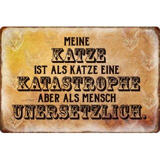 Schild Spruch "Meine Katze Katastrophe, als Mensch unersetzlich" 20 x 30 cm