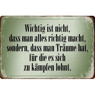 Schild Spruch "Wichtig nicht, alles richtig, Träume, lohnt zu kämpfen" 20 x 30 cm