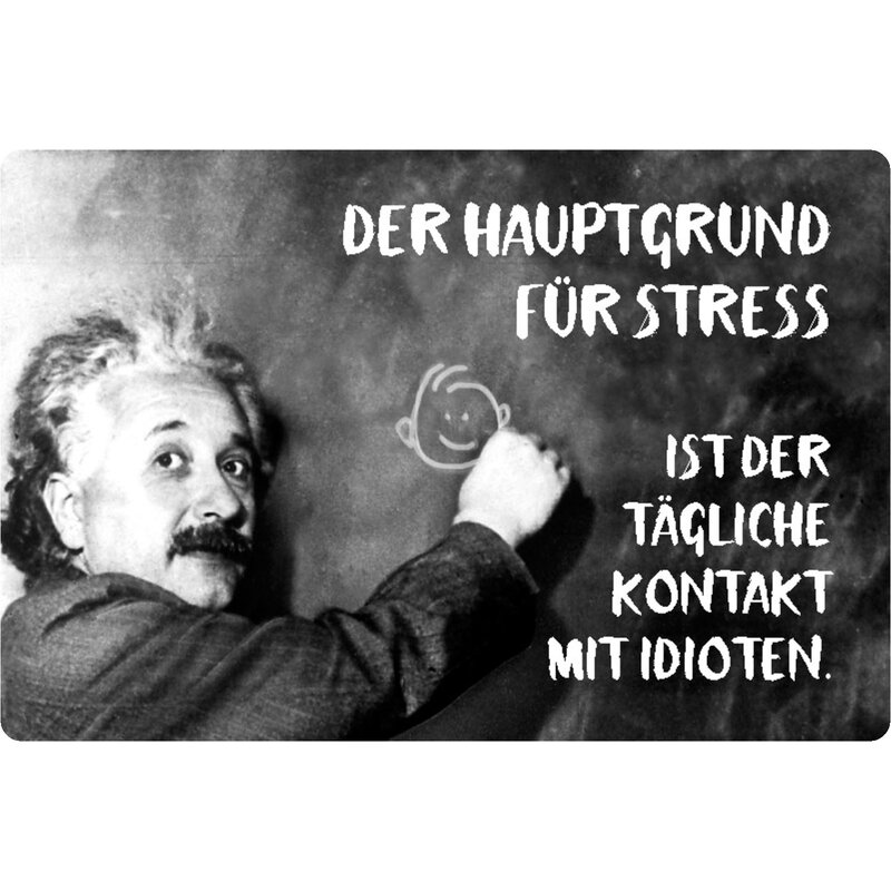 Schild Spruch "Hauptgrund Stress tägliche Kontakt Idioten" Einstein 2