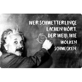 Schild Spruch "Schmetterlinge lachen Wolken schmecken" Einstein 20 x 30 cm