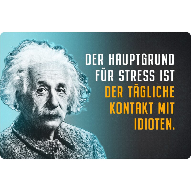 Schild Spruch "Hauptgrund Stress Kontakt Idioten" Einstein blau 20 x