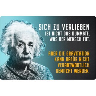 Schild Spruch "verlieben ist nicht dümmste, Gravitation" Einstein 20 x 30 cm