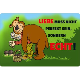 Schild Spruch "Liebe muss nicht perfekt sein, echt" Bär 20 x 30 cm