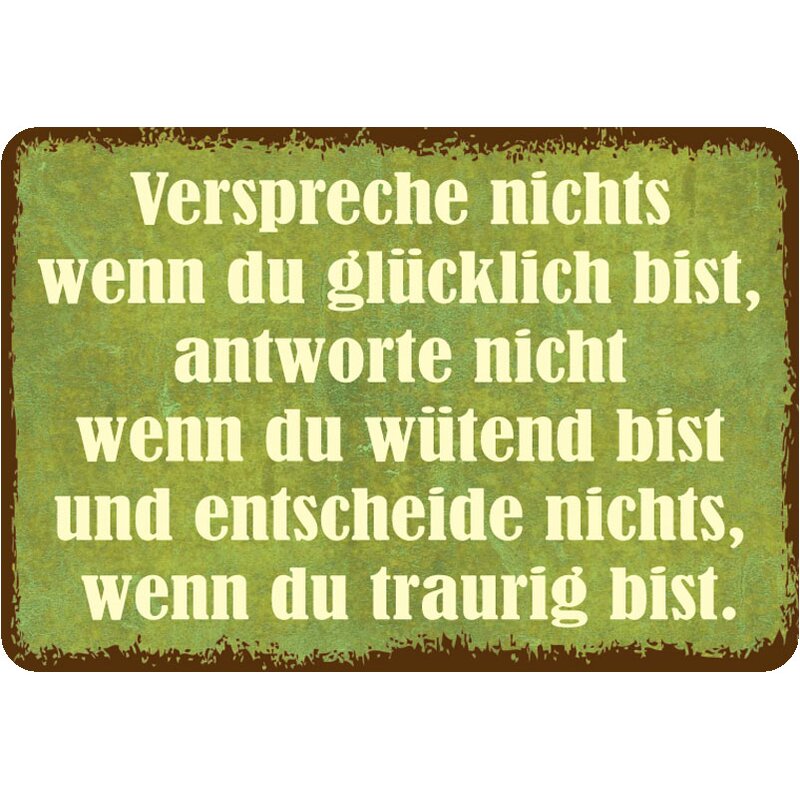 Schild Spruch "Verspreche nichts wenn du glücklich bist" 20 x 30 cm,