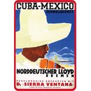 Schild Spruch "Cuba-Mexico Schnelldienst" 20 x...