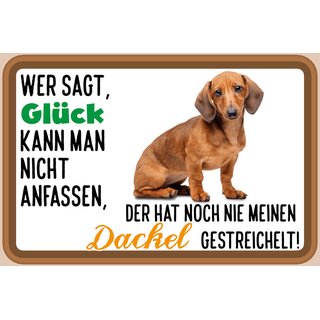 Schild Spruch "Wer sagt Glück kann man nicht anfassen Dackel" 30 x 20 cm Blechschild