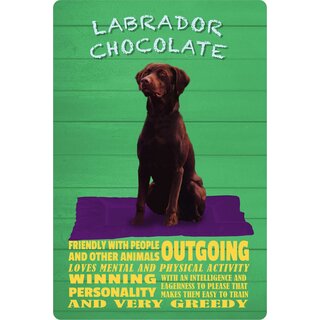 Schild Spruch "Hund Labrador Chocolate Friendly Intelligent" 20 x 30 cm Blechschild