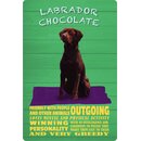 Schild Spruch "Hund Labrador Chocolate Friendly...