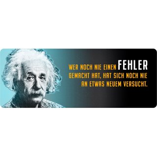 Schild Spruch "Wer noch nie einen Fehler gemacht hat, Einstein" 27 x 10 cm Blechschild