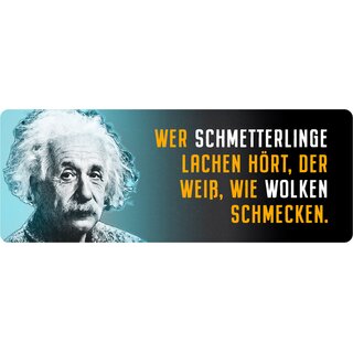 Schild Spruch "Wer Schmetterlinge lachen hört, Einstein" 27 x 10 cm Blechschild