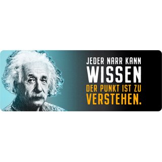 Schild Spruch "Jeder Narr kann wissen, Einstein" 27 x 10 cm Blechschild