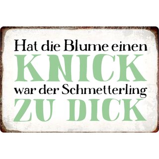 Schild Spruch "Blume, Knick, Schmetterling zu dick" 30 x 20 cm Blechschild