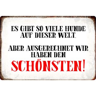 Schild Spruch "Es gibt viele Hunde, wir haben den Schönsten" 30 x 20 cm Blechschild