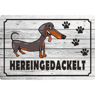 Schild Spruch "Hereingedackelt" 30 x 20 cm Blechschild