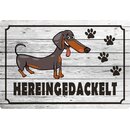 Schild Spruch "Hereingedackelt" 30 x 20 cm...