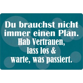 Schild Spruch "Du brauchst nicht immer einen Plan" 30 x 20 cm Blechschild