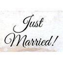 Schild Spruch "Just married" 30 x 20 cm...