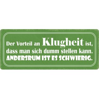 Schild Spruch "Vorteil an Klugheit, dumm stellen kann" 27 x 10 cm Blechschild