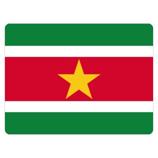 Blechschild "Flagge Surinam" 40 x 30 cm Dekoschild Fahnen