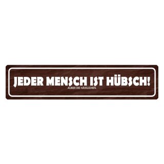 Blechschild "Jeder Mensch hübsch außer hässliche" 46 x 10 cm Dekoschild Spruch Aussehen