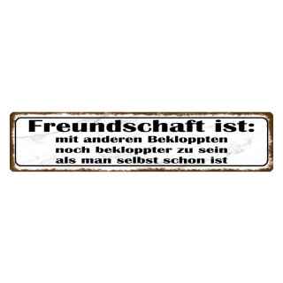 Blechschild "Freundschaft ist noch bekloppter" 46 x 10 cm Dekoschild Lebenseinstellung