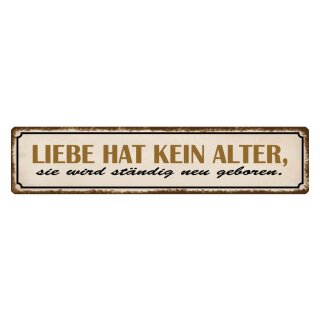 Blechschild "Liebe hat kein Alter sie wird" 46 x 10 cm Dekoschild Beziehung