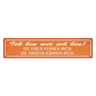 Blechschild "Ich bin wie ich bin, kennen, können" 46 x 10 cm Dekoschild Vergleich