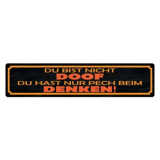 Blechschild "Bist nicht doof, nur Pech beim Denken" 46 x 10 cm Dekoschild Motivation