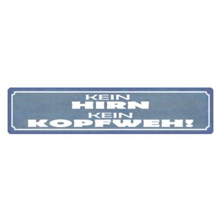 Blechschild "Kein Hirn kein Kopfweh" 46 x 10 cm Dekoschild Redewendung