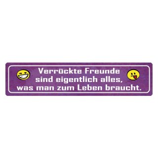 Blechschild "Verrückte Freunde sind alles was zum Leben" 46 x 10 cm Dekoschild Spruch Freunde