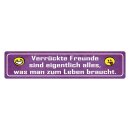 Blechschild "Verrückte Freunde sind alles was...