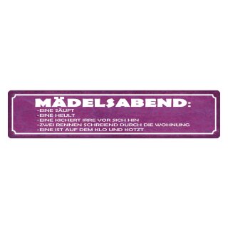 Blechschild "Mädelsabend" 46 x 10 cm Dekoschild Freundinnen