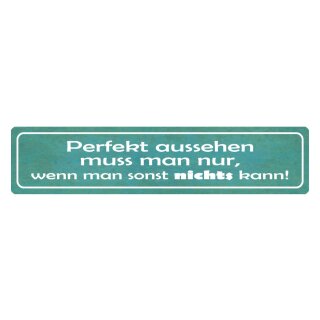 Blechschild "Perfekt aussehen, wenn nichts kann" 46 x 10 cm Dekoschild Aussehen