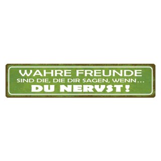 Blechschild "Wahre Freunde sagen du nervst" 46 x 10 cm Dekoschild Freundschaft