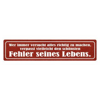 Blechschild "Schönster Fehler seines Lebens verpassen" 46 x 10 cm Dekoschild Meinung