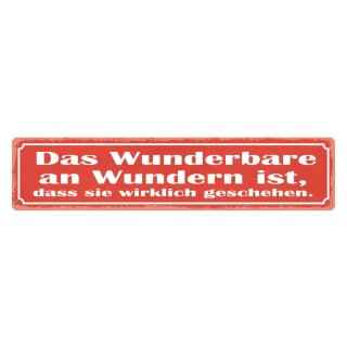 Blechschild "Wunderbare an Wundern, geschehen" 46 x 10 cm Dekoschild Phänomen