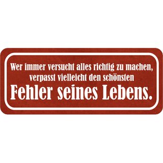 Schild Spruch "versucht richtig machen, verpasst schönsten Fehler Lebens" 27 x 10 cm Blechschild