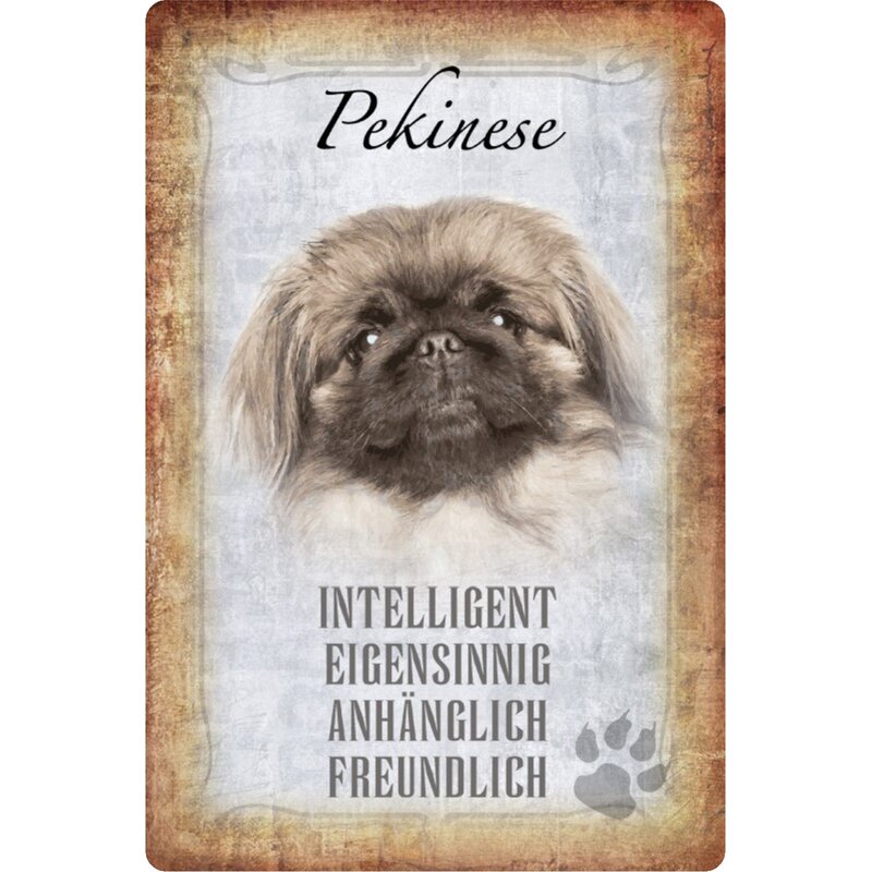 Schild Spruch &quot;Pekinese, intelligent anhänglich&quot; Hund 20 x 30 cm Blec
