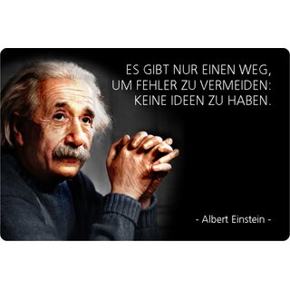 Schild Spruch "einen Weg, Fehler vermeiden, keine Ideen, Einstein" 20 x 30 cm Blechschild