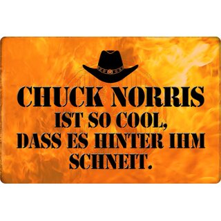 Schild Spruch "Chuck Norris so cool, hinter ihm schneit" 20 x 30 cm Blechschild