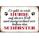 Schild Spruch "viele Hunde, wir haben...