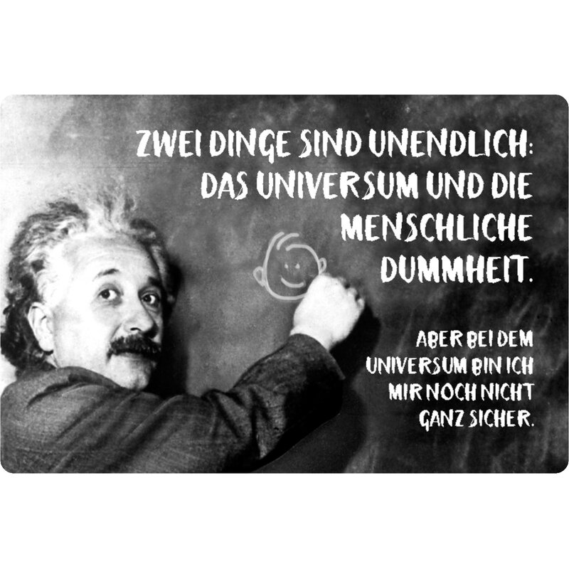 Schild Spruch "unendlich, Universum menschliche Dummheit" Einstein 20