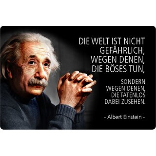 Schild Spruch "Welt nicht gefährlich, böses tun, zusehen" Einstein 20 x 30 cm Blechschild