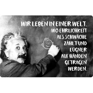 Schild Spruch "leben in Welt, Ehrlichkeit Schwäche" Einstein 20 x 30 cm Blechschild